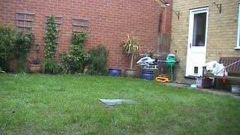 Mini Titan hover training