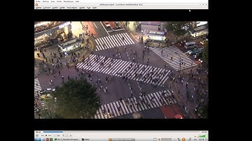 Collège/Lycée - Traitement d