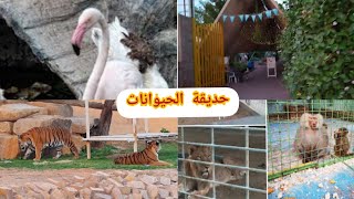 حديقة الحيوان بالدمام