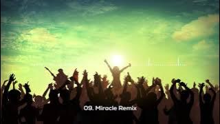 Mega House Funky 2008 - 09. Miracle Remix