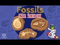 Fossil Formation and Study Quiz