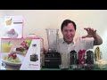 How to Make a Healthy Fruit Smoothie