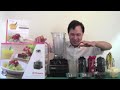 How to Make a Healthy Fruit Smoothie