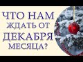 Что нам ждать от декабря месяца?