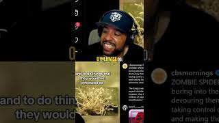 Say No To Spiders  spider spiders fungus