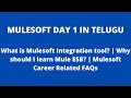 MuleSoft Telugu Course 10 Day 1