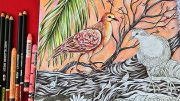 Coloring Fragile World by Kerby Rosanes with Neocolor II & Kalour Pencils| Part - 1|