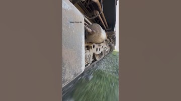 Locomotive wheels at old railway track. #suspension #railroad  #shorts