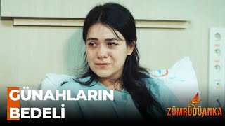 Suhandanın Acı Günü - Zümrüdüanka