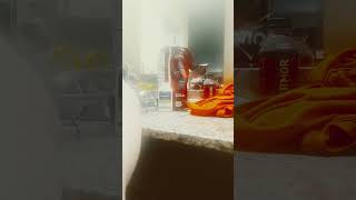 Willie The Giants Stomach Effects