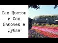 Сад Цветов и Сад Бабочек в Дубае Dubai Miracle Garden and Dubai Buttefly Garden