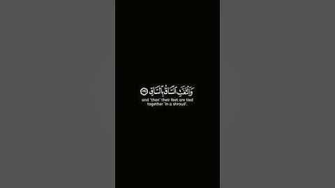 كروما شاشه سوداء قرآن كريم 🌿تلاوة من سورة القيامة 🌿القارئ صهيب حسن 🌿