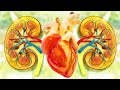 852 hz  alpha waves heal heart  kidney your body will have clear changes full body massage 1