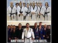 McDojo vs Real dojo