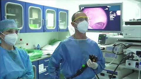 "Endoscopy on Air - 