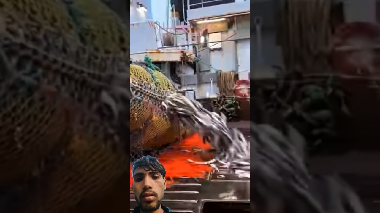 Duniya ka sabse Anokha Machhali powder #facts #fish #fishing #shortsviral