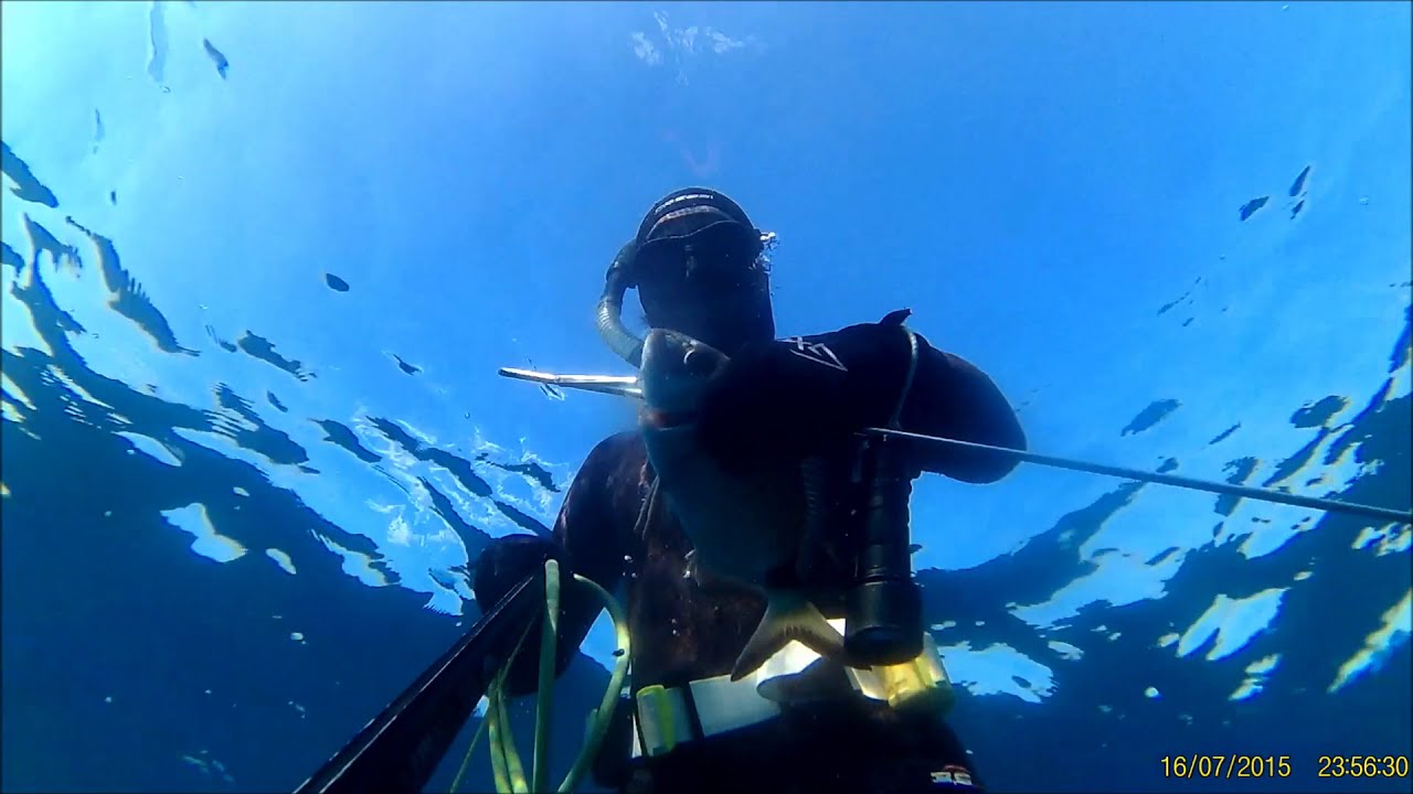 Spearfishing Cyprus 2020 In the line of colours YouTube