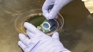 Cryo-EM grid nanofabrication