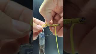 Easy Fishing Knot That Prevents Line Twist & Tangles #fishing #angler #beginnerfishing #fishinggear