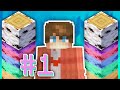 I am #1 in birch wood on Hypixel Skyblock