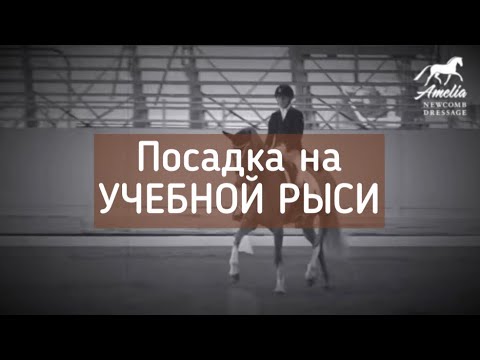 Учебная рысь. Посадка. Пара советов