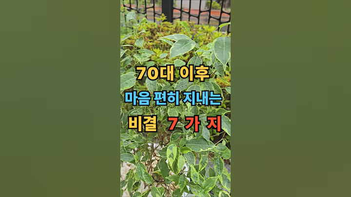 70대 이후 마음편히 지내는 비결 7가지 #명언 #좋은글 #멋진글귀 #공감글귀