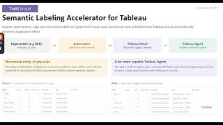 Tableau Semantic Labeling Accelerator