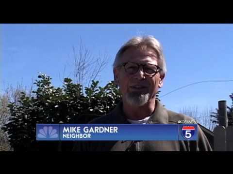 Deer stuck in tree - YouTube
