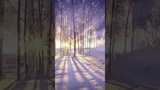 26 января - купите в дом на счастье. Народные приметы #Shorts