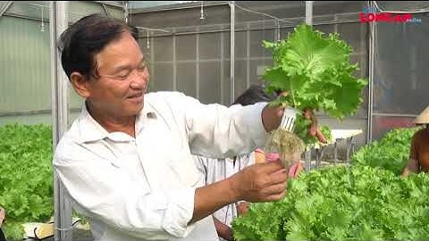 Quan tâm thực hiện tiêu chí môi trường trong xây dựng nông thôn mới