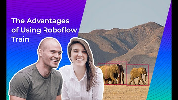 Roboflow Train: Computer Vision Made Easy
