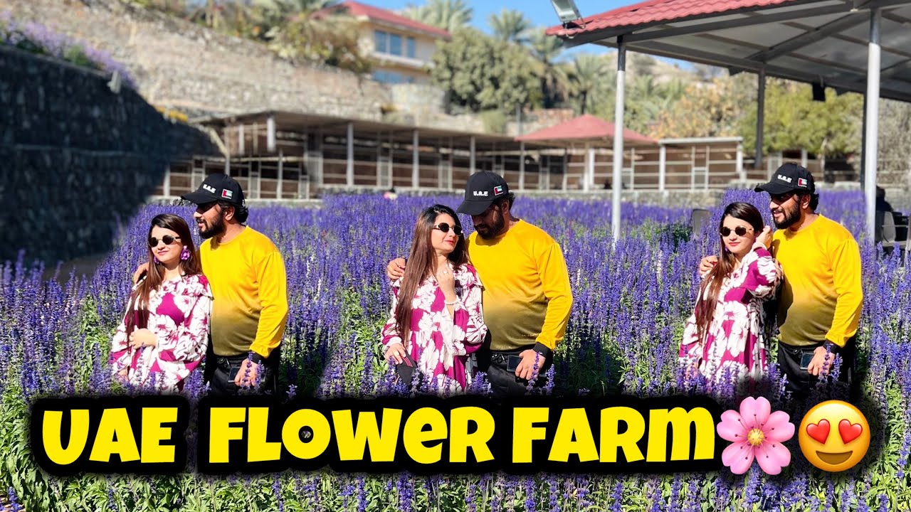 UAE Flower Farm🌹Humara Valentine’s Day Itne Sare Flowers K Sath🥰❤️