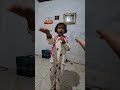 Latihan lomba menyanyi