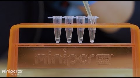 Tips for success pipetting into BioBits®