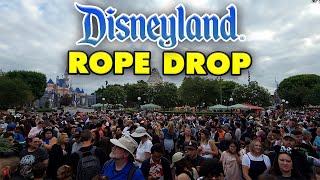 Rope Drop experience at Disneyland | from parking to 10 am