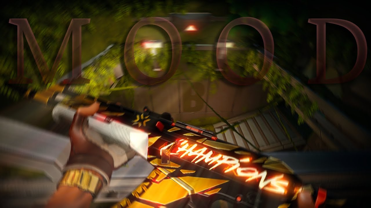 The CHAMPIONS Vandal Clearly Has AIMBOT (VALORANT MONTAGE)