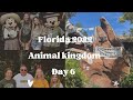 Animal Kingdom - Day Six Florida 2022