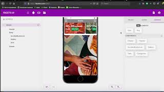 FacetsUI Mobile UI Design