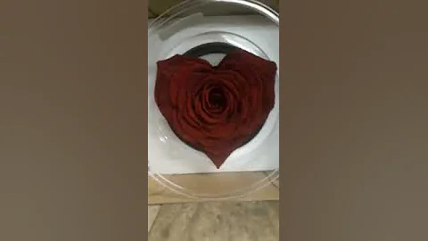 26 December 2018