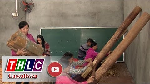 Xây dựng chuỗi liên kết trong sản xuất nông nghiệp | THLC
