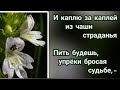 Когда одолеют тебя испытанья...