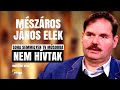 MÉSZÁROS JÁNOS ELEK: NEM HÍVTAK SOHA TV MŰSOROKBA / Hová tűnt? / Palikék Világa by Manna