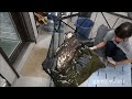 掃除機大好き!ちとせちゃん