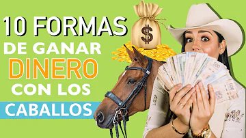 ¿Es posible ganar dinero con un caballo?