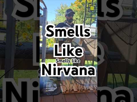 Smells Like Nirvana Weird Al Yankovic Style Guitardion Music Smells Like Nirvana Weird Al Yankovic Style Guitardion Music