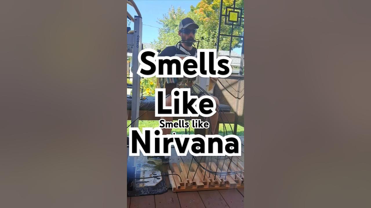 Smells like nirvana - Weird al yankovic style #guitardion #music Smells like nirvana - Weird al yankovic style #guitardion #music