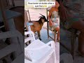 2025 Funniest Video Funny Duetcomedy Funnyjokes Trending Extended New 2025 2025shorts 2025 Funniest Video Funny Duetcomedy Funnyjokes Trending Extended New 2025 2025shorts