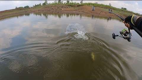 Câu cá lóc tự nhiên ở đập Sông Ray | Giao lưu và trải nghiệm