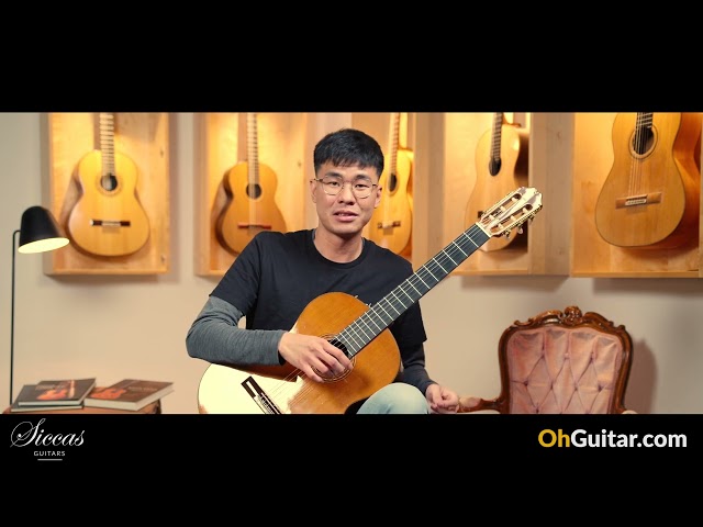 Masaki Sakurai 1993 Concert J Classical Guitar Review