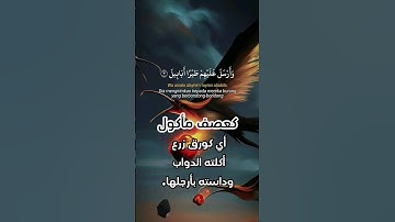 سورة الفيل بصوت جميل